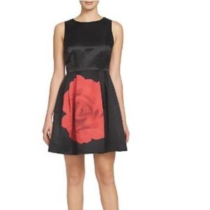 Cynthia Steffe Rose-Print Fit-and-Flare Dress